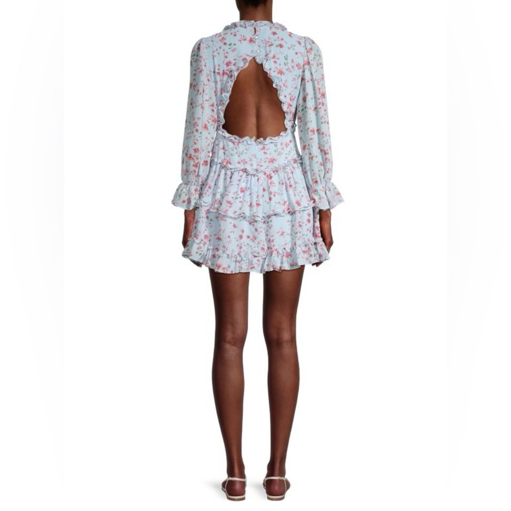 CISTAR NEW YORK Floral-Print Ruffle Long-Sleeve Open Dress Light Blue and Pink
